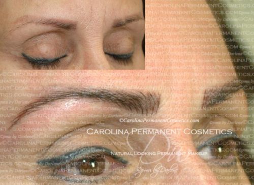 permanent eyebrows carolina permanent cosmetics permanent eyebrows carolina permanent cosmetics