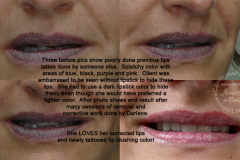 NS-corrective-lips-work-by-Darlene-2022-02